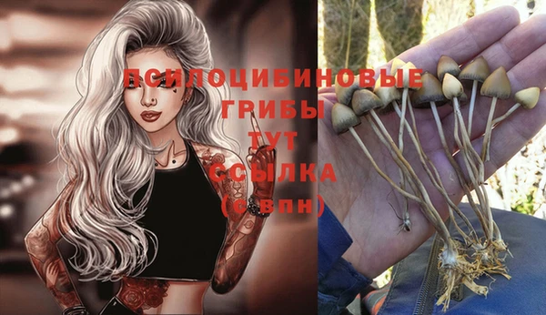 спайс Арсеньев