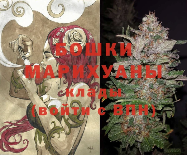 спайс Арсеньев