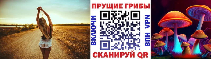 как найти наркотики  Асбест  Псилоцибиновые грибы Psilocybine cubensis 
